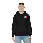 Salah Palestine Lightweight Hoodie v2