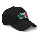 Salah Palestine Embroidered Twill Cap